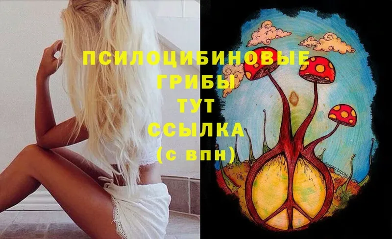 Галлюциногенные грибы Magic Shrooms  Ишимбай 